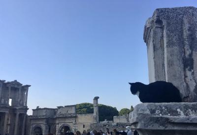 トルコ 6 ③エフェソス クサダシ