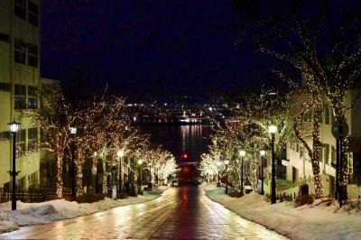 冬の夜景を楽しむ　函館途中下車の旅