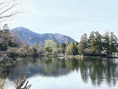 娘と行く九州7県周遊5日間　5日目