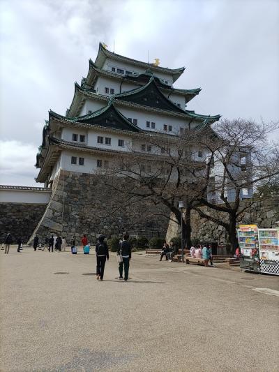 母息子二人旅！名古屋1泊2日