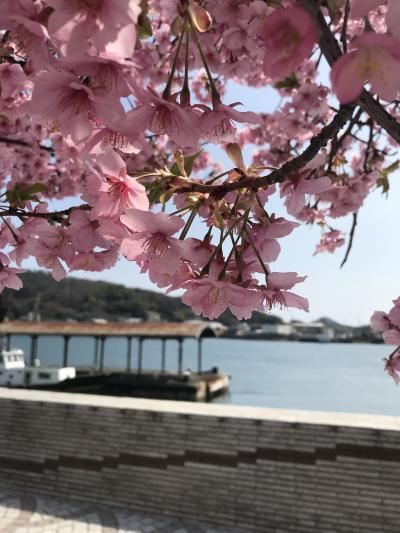 小さな春をさがすドライブ旅1日目（広島から山口）