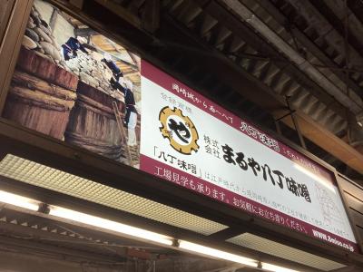 祝、2023年大河「どうする家康」に決定！初めての岡崎へ⑦・完　夜の "乙川" べりを散策して、豊橋経由で東京へ帰還
