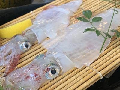 福岡・佐賀・長崎*一人旅③呼子・唐津城・吉野ヶ里遺跡(3日目)