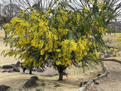 香川県園芸センターへ