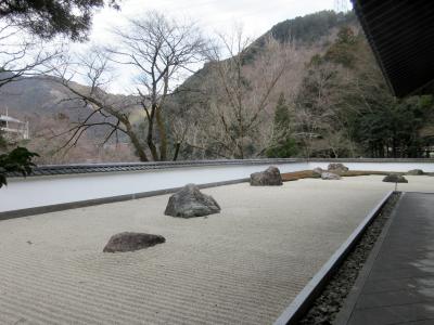 奥多摩　澤乃井酒造と玉堂美術館