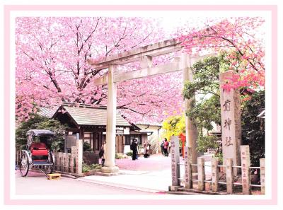 取り急ぎ２　蔵前神社♪