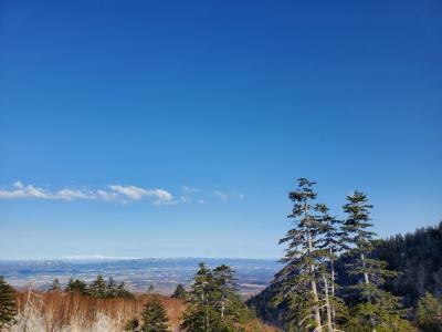 十勝岳温泉 2泊3日。