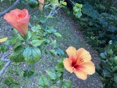 春の宮古島2泊3日⭐︎ひとり旅