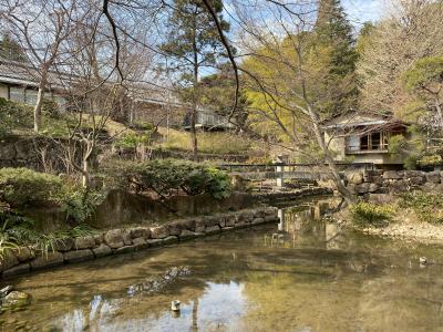 2022年2月　向山庭園