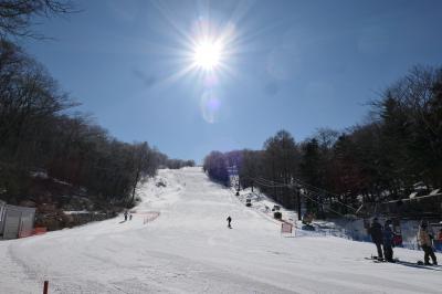 雪の軽井沢　優雅な冬旅♪　Vol.28 ☆祝日賑わう軽井沢プリンススキー場♪