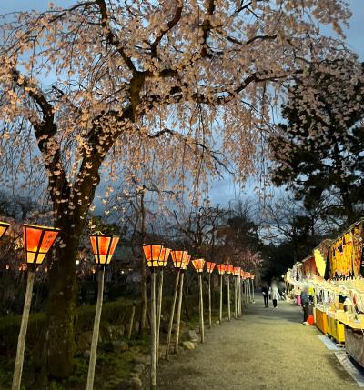 バスフリーきっぷを使ってめぐる「初春の三島観光案内」