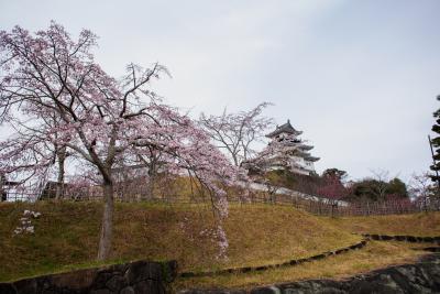 そうだ南禅寺行こう　チャリで　3日目