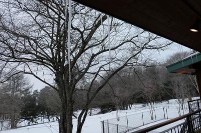 雪の軽井沢　優雅な冬旅♪　Vol.36 ☆ひらまつのドッグヴィラスイート：朝の美しい雪景色♪