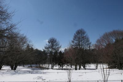 雪の軽井沢　優雅な冬旅♪　Vol.40 ☆ひらまつのドッグヴィラスイート：雪のドッグラン♪