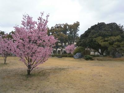 JR東海さわやかウォーキング2022（三河安城駅→太平寺→安城駅）その１