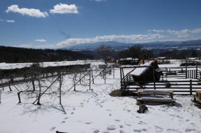 雪の軽井沢　優雅な冬旅♪　Vol.41 ☆東御：アトリエ・ド・フロマージュ　美しい雪景色♪