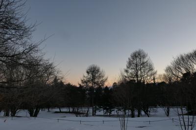 雪の軽井沢　優雅な冬旅♪　Vol.47 ☆ひらまつのドッグヴィラスイート　黄昏の美しい雪景色♪