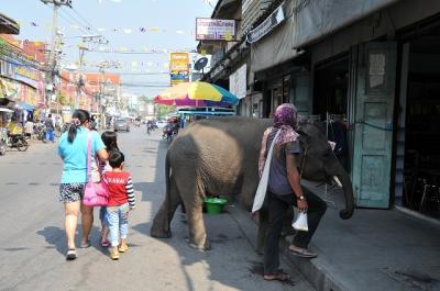 2015年タイ旅行記　第2回　メークロンの町を散策