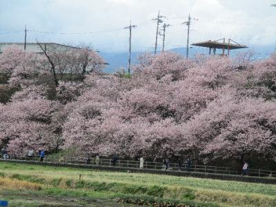 「久し振りの孫たちとの訪問旅行」