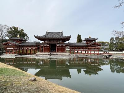 桜はまだの早春の京都。イノダの朝食と宇治平等院、そして竹林の小径、祇園の京おでん・　モクシー京都二条②