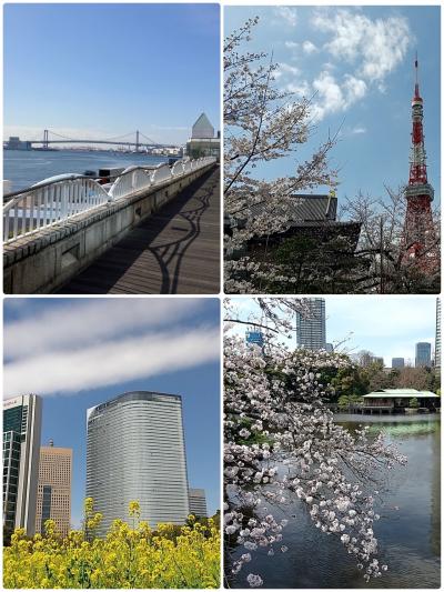 春の竹芝、浜離宮、増上寺、東京タワー