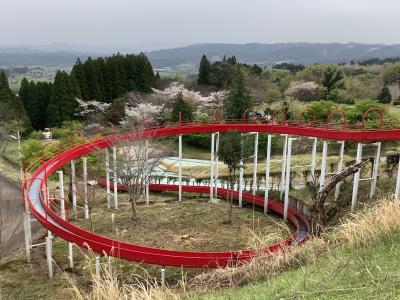 皇子原公園に桜を見に行ってみよう