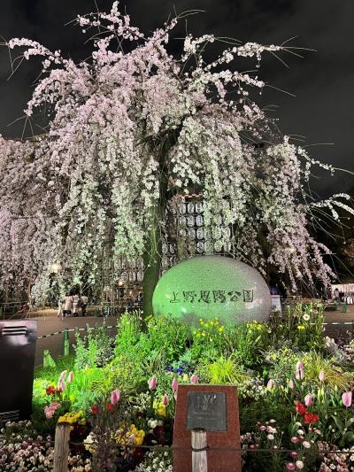 東京桜あちこち。花より団子！？