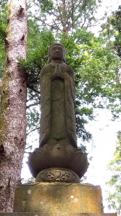 千葉県の奈良の大仏見てきました。