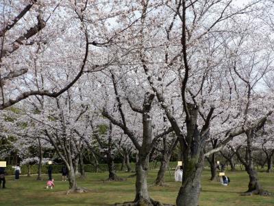 Ｌ　ＭＡＲ　２０２２　　岡山・・・・・⑬後楽園Ⅱ