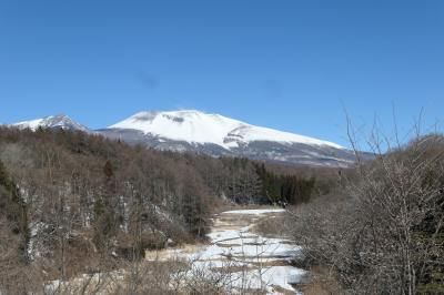 雪の軽井沢　優雅な冬旅♪　Vol.57 ☆しなの鉄道観光列車「ろくもん」優雅なランチと絶景雪の旅♪