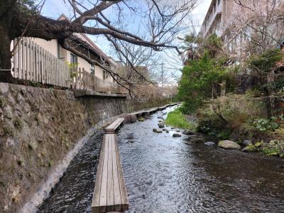 三島と小田原ぶらぶら