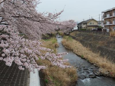 打越土入公園・湯殿川・片倉城址公園へ再び 八王子 2022/03/29