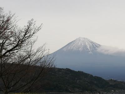 静岡　沼津　子連れ　年長　3日間　後半