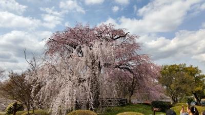 ２０２２年３月　青春１８きっぷ第２弾　その２　京都１・２・３日