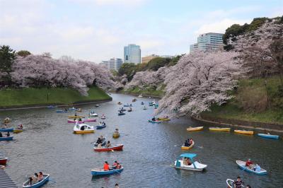 没後50年 鏑木清方展 東京国立近代美術館☆千鳥ヶ淵・靖国神社の桜☆ランチョン☆2022/03/30