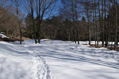 雪の軽井沢　優雅な冬旅♪　Vol.70 ☆ザ・ひらまつ・軽井沢御代田　森の美しい雪散歩♪