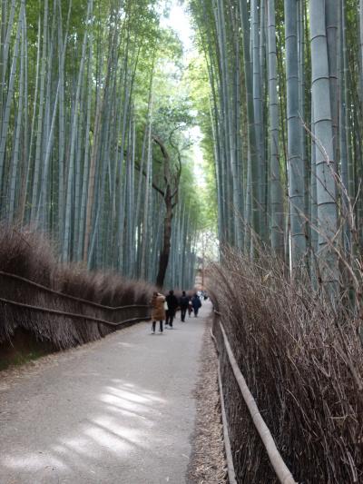 嵐山の竹林を散策。太い竹が多い。ひところより、人出が少ない。