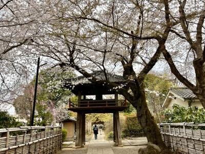 川越大師・喜多院から中院界隈を歩きましょう