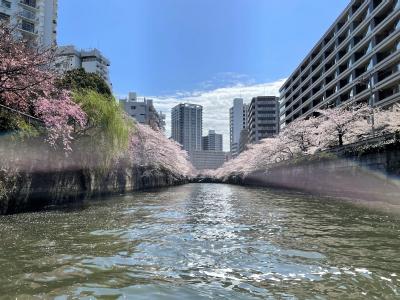 六本木～天王洲～ジール「目黒川お花見クルーズ」新！老舗すき焼【ちんや】浅草本店が移転オープン♪ホテル『ザ カンザシ』【エロイーズカフェ】浅草