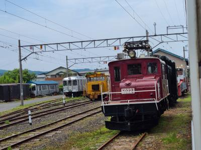 今のうちに、弘前鉄道大鰐線に乗っておく