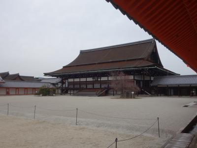 京都御所が一般公開しているのを知りました。ひさしぶりで内部を見学できました。