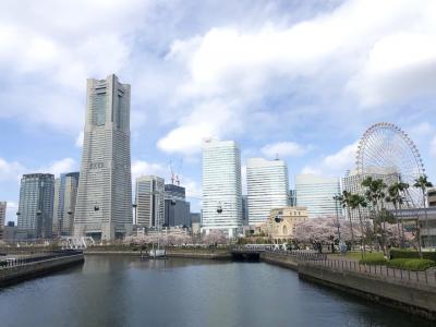 《オークウッドスイーツ横浜》と春のみなとみらい