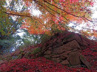 小早川隆景の城を巡る。