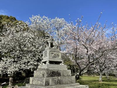 娘と行く広島・山口3日間　3日目