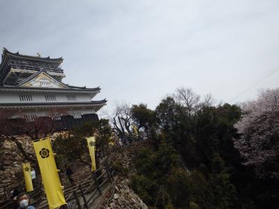 お気に入りビジホ＆卒園hiking