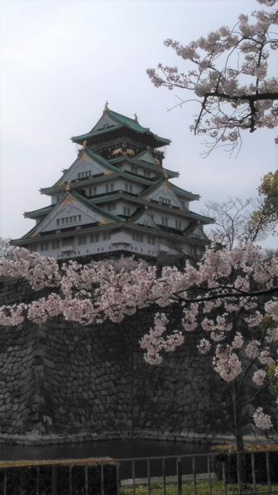 満開の桜と大阪城　2022.04