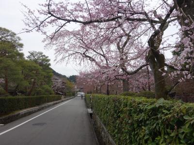 南禅寺ちかくの秘密の小路。内緒にしておきたいのですが。。。。