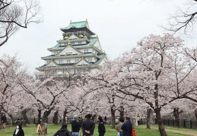 大阪春旅・・桜満開の大阪城を訪ねます。