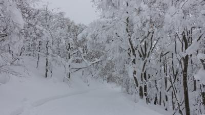 ドカ雪と温泉を求めて山形へ　６．蔵王温泉スキー場でかんじきスノーハイク