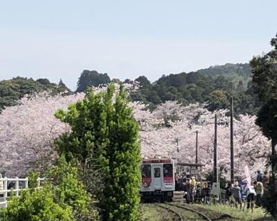 マダムの春旅イン博多・佐賀・小倉・行橋　④　２日目の２　松浦鉄道～佐賀～博多